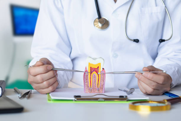 Best Tooth Infection Emergency Dentist  in Thornton, IL